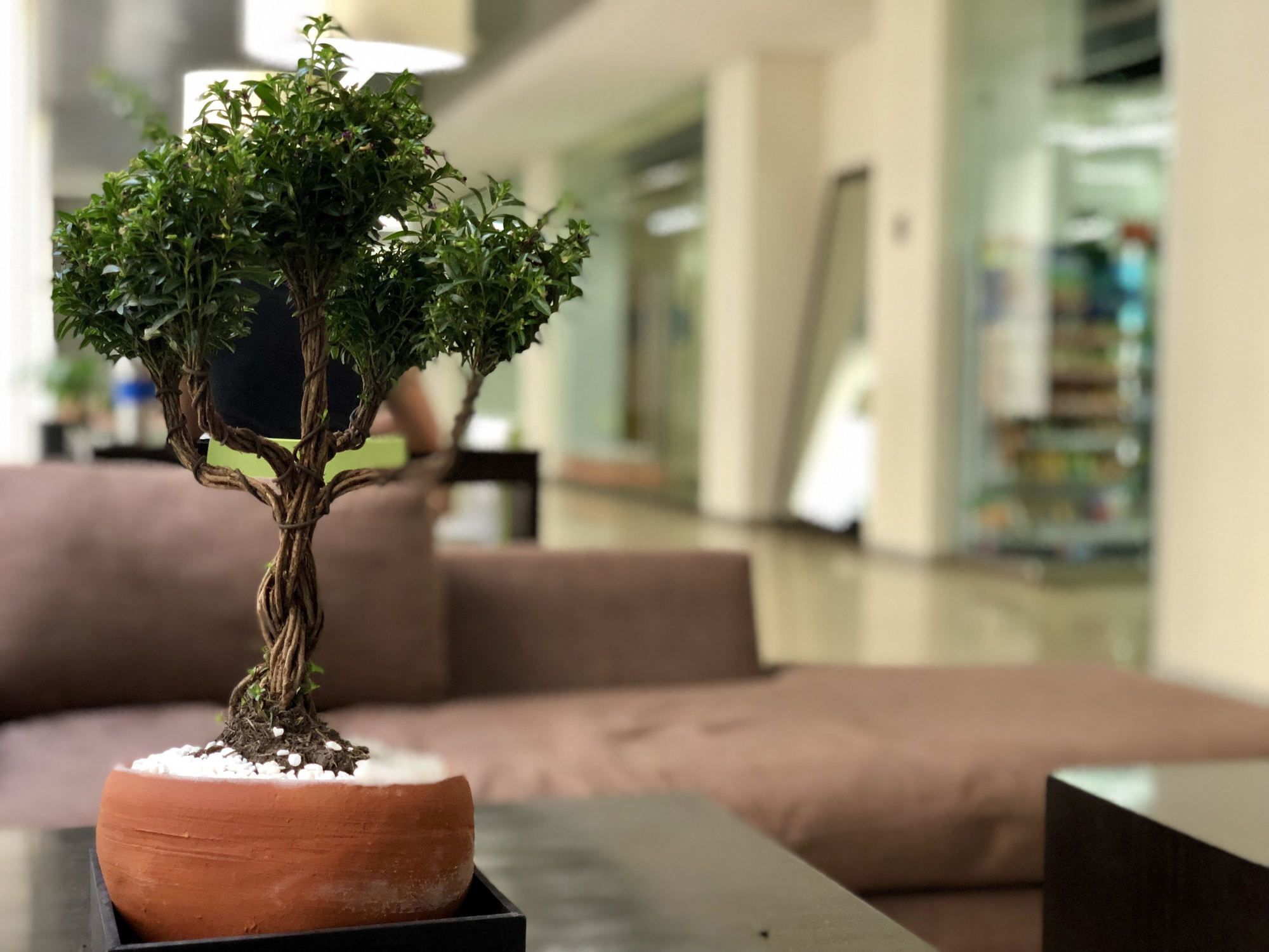 Boutique Apartment Pbk Meksika Dış mekan fotoğraf